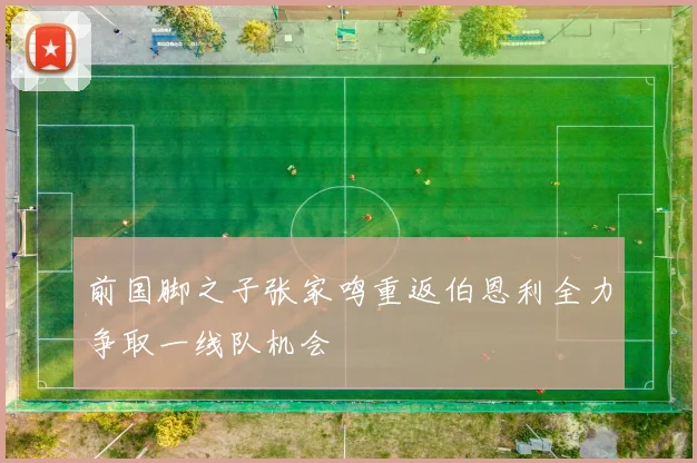 前国脚之子张家鸣重返伯恩利全力争取一线队机会
